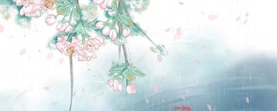 ​绿美人植物的特性 绿美人的寓意