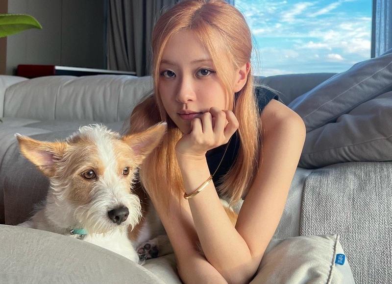 老婆心冷了怎么挽回，老婆心冷了，如何挽回？