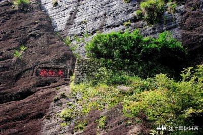 ​大红袍是什么茶（冲泡大红袍的正确方法）