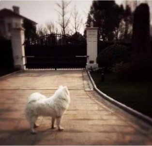 ​带你看看乔欣住的豪宅，戏外是真正的富二代，房子装修犹如宫殿