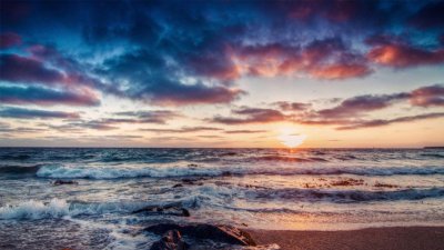 ​一年级的朝霞不出门,下一句怎么读 朝霞不出门的诗名