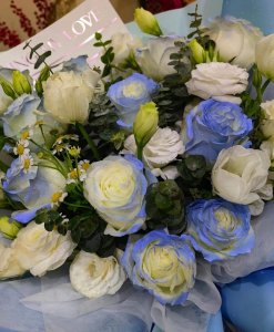 ​碎冰蓝的花语是什么? 碎冰蓝什么时候出来的