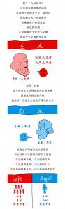 ​左翼是什么意思（左翼解释）