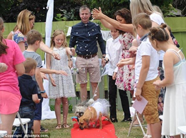 主人为狗狗们办了一场豪华婚礼,感觉活得还不如宠物狗,让我先去一边哭会儿