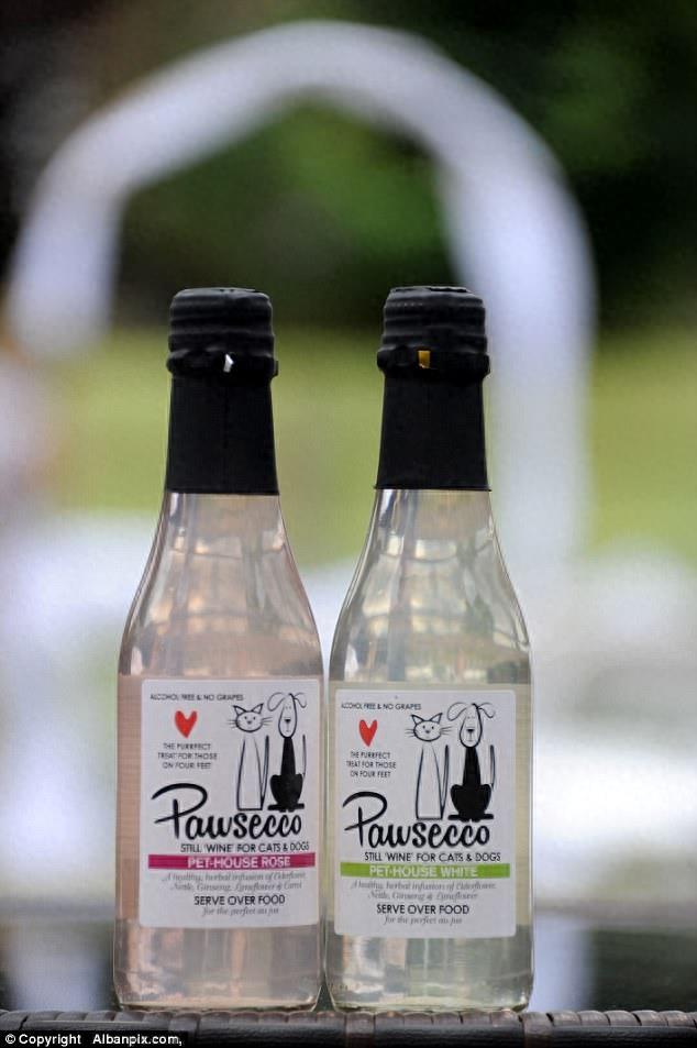 主人为狗狗们办了一场豪华婚礼,感觉活得还不如宠物狗,让我先去一边哭会儿