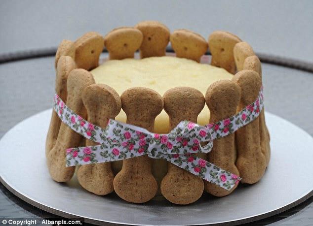 主人为狗狗们办了一场豪华婚礼,感觉活得还不如宠物狗,让我先去一边哭会儿