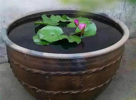 家里养鱼开缸穷三代是真的吗