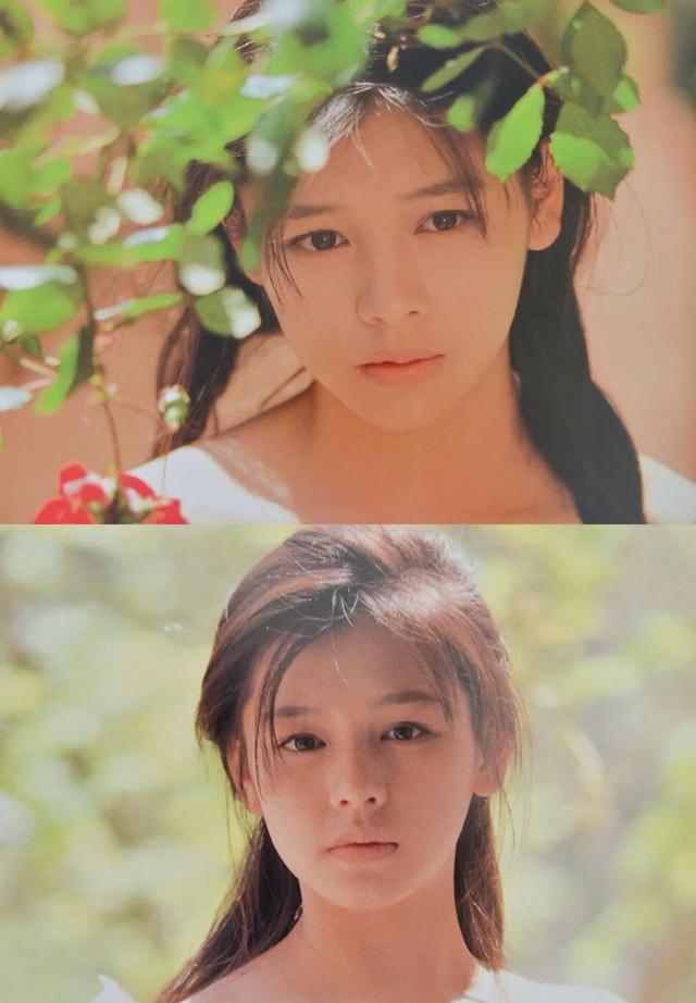 徐若瑄演过哪些经典电影(徐若瑄还出演过这些影视剧)(4)