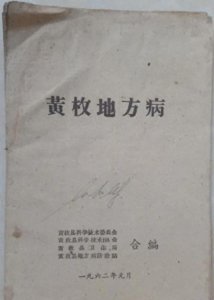 ​“黄梅县”真正名称为“黄枚县”