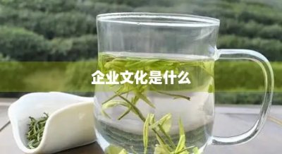 ​企业文化是什么
