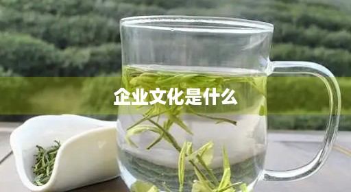 企业文化是什么