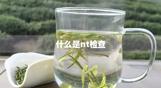 什么是nt检查 什么是nt检查