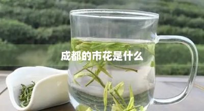 ​成都的市花是什么(成都的市花是什么花)