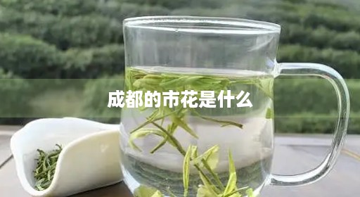 成都花的啥子上海花市花名字成都市是什么花市西安是什么市花 成都花的啥子上海花市花名字成都市是什么花市西安是什么市花