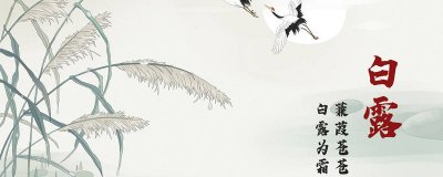 ​蒹葭翻译全文翻译 蒹葭翻译全文简单翻译及解释