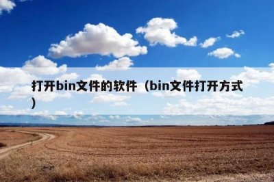 ​bin文件用什么软件打开