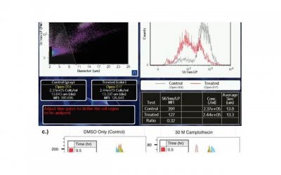 ​如何经营婚姻感情，如何经营婚姻感情？