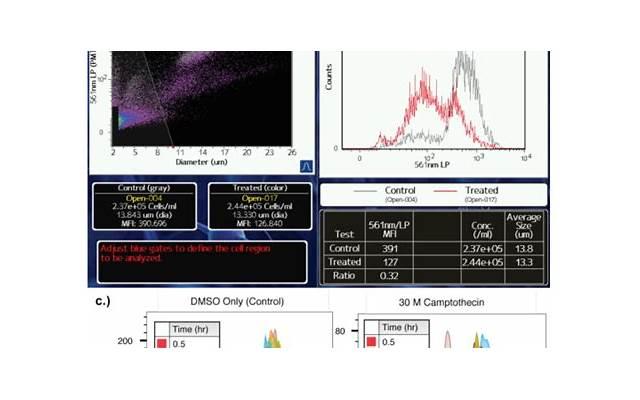 如何经营婚姻感情，如何经营婚姻感情？