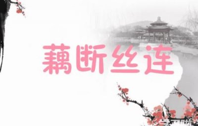 ​丝的寓意象征,丝巾的寓意和象征