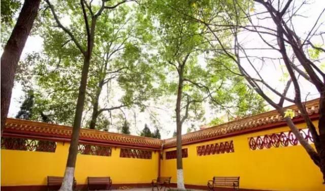 德阳有一座低调的小城, 她的名字叫中江……