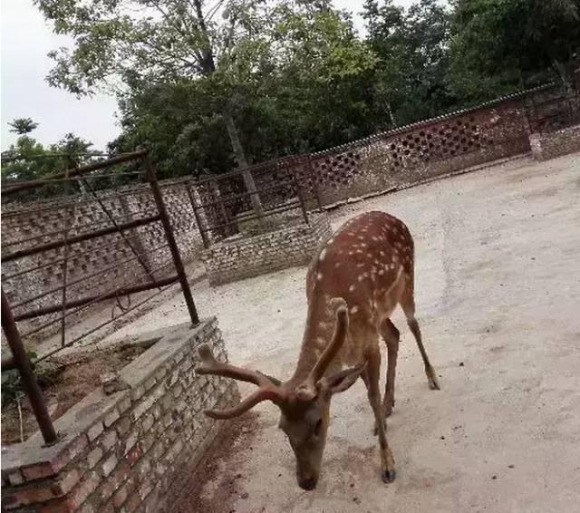 德阳有一座低调的小城, 她的名字叫中江……