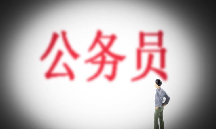 公务员是什么类人才