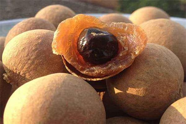 人流后可以吃桂圆吗 一周后再吃