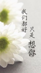 ​四月十五日是什么日子(1213日是什么日子)