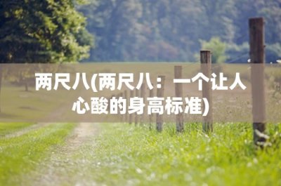 ​两尺八(两尺八：一个让人心酸的身高标准)