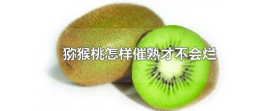 ​猕猴桃如何催熟? 猕猴桃怎么催熟?