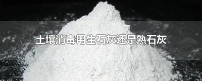 ​土壤消毒用生石灰还是熟石灰