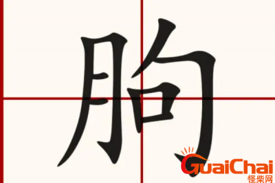​朐字的意思是什么？朐字如何读？