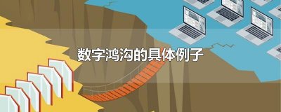 ​数字鸿沟的具体例子