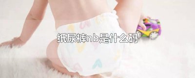 ​纸尿裤nb是什么码