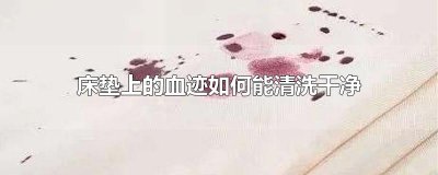 ​床垫上的血迹如何能清洗干净