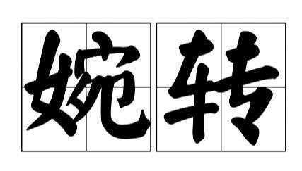 宛转的解释（词语宛转什么意思）