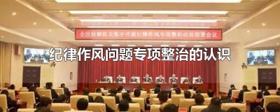 ​纪律作风问题专项整治的认识