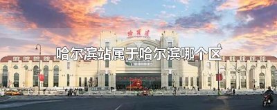​哈尔滨站属于哈尔滨哪个区