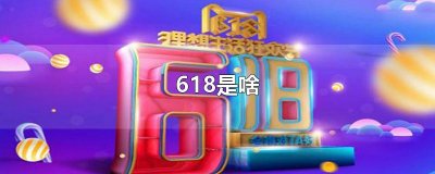 ​618是啥