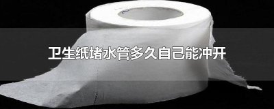 ​卫生纸堵水管多久自己能冲开