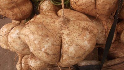 ​地瓜不能和什么一起吃