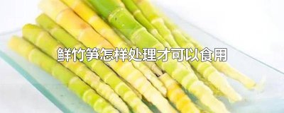 ​鲜竹笋怎么处理涩味 鲜竹笋怎么处理才不麻