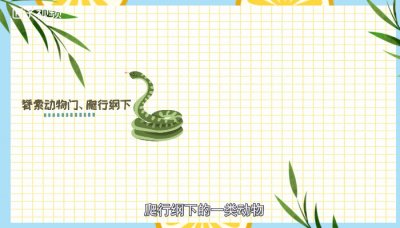 ​蛇怕什么