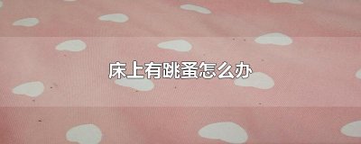 ​床上有跳蚤怎么办