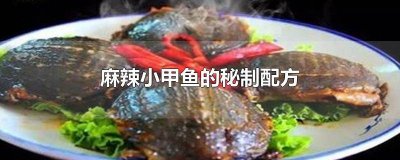 ​秘制小甲鱼的做法大全 麻辣甲鱼教程