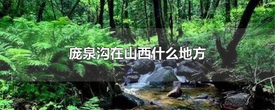 ​庞泉沟在山西什么地方
