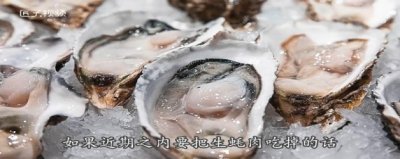 ​生蚝肉怎么保存