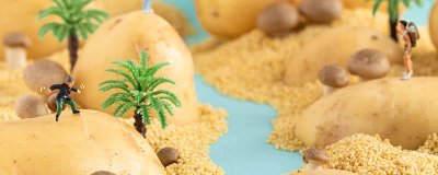 ​煮土豆热量高么 水煮土豆热量高吗白水煮土豆的热量