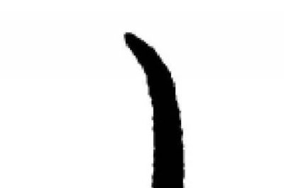 ​七竖八横打一字怎么写