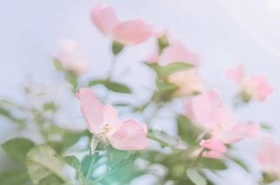 ​趣知识：结算价和决算价有什么分别结算价和决算价